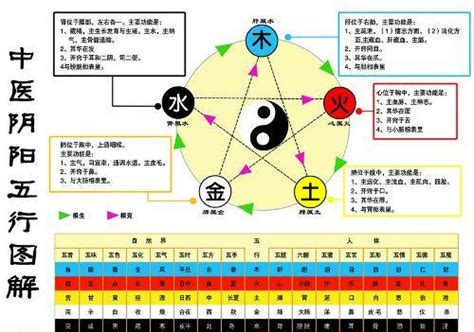 金生木 木生水|五行相生相克之间的意义